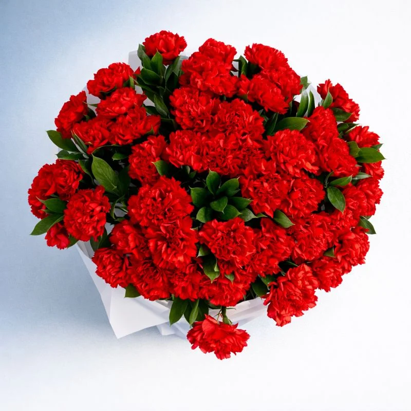 Bukiet czerwonych goździków