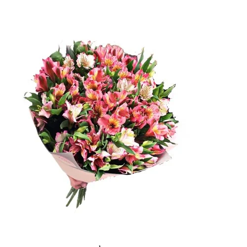 Bukiet alstromerii różowych – kwiaty na prezent lub wyjątkową okazję