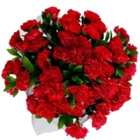 Bukiet czerwonych goździków