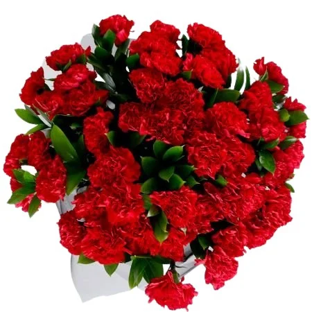 bukiet czerwonych goździków – zamów kwiaty online