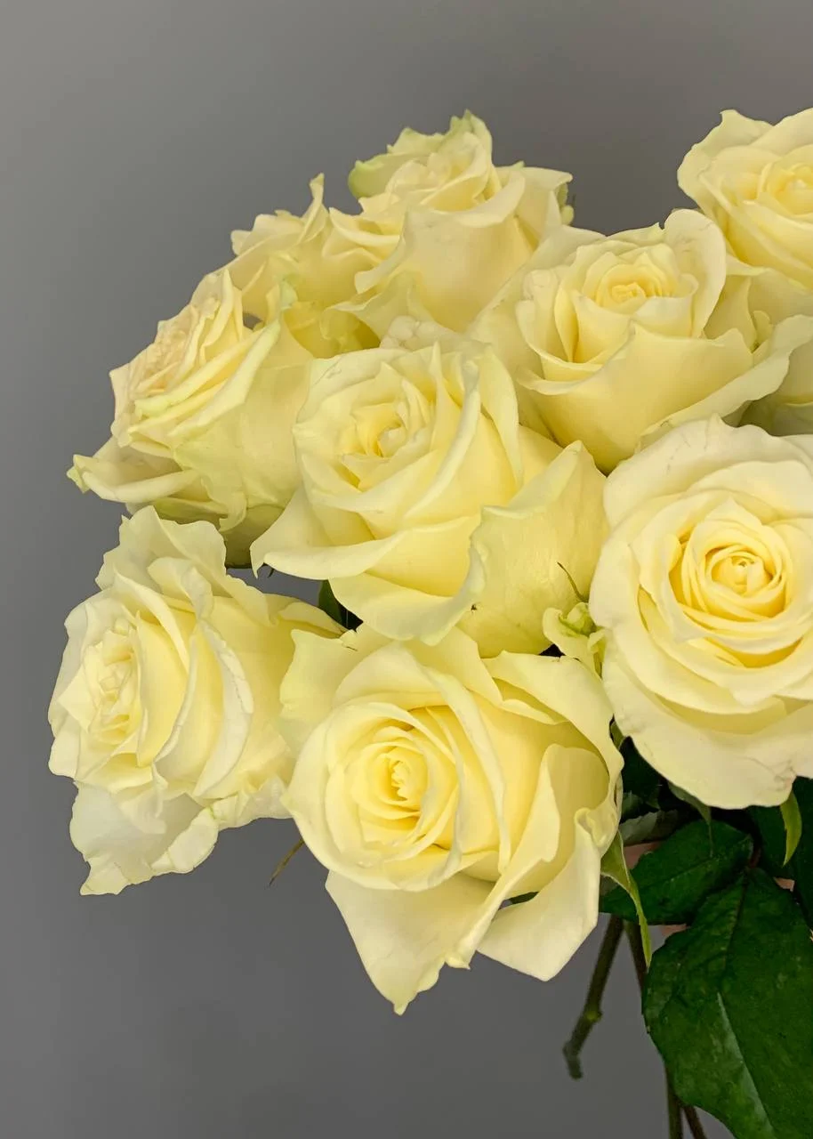 Bukiet róż – subtelny wyraz miłości i szacunku