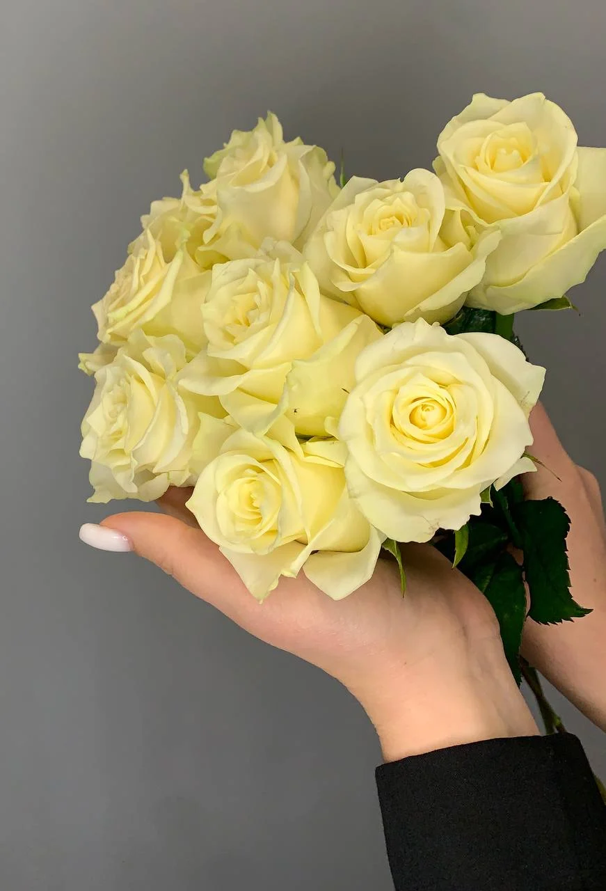 Bukiet róż – romantyczny gest pełen emocji