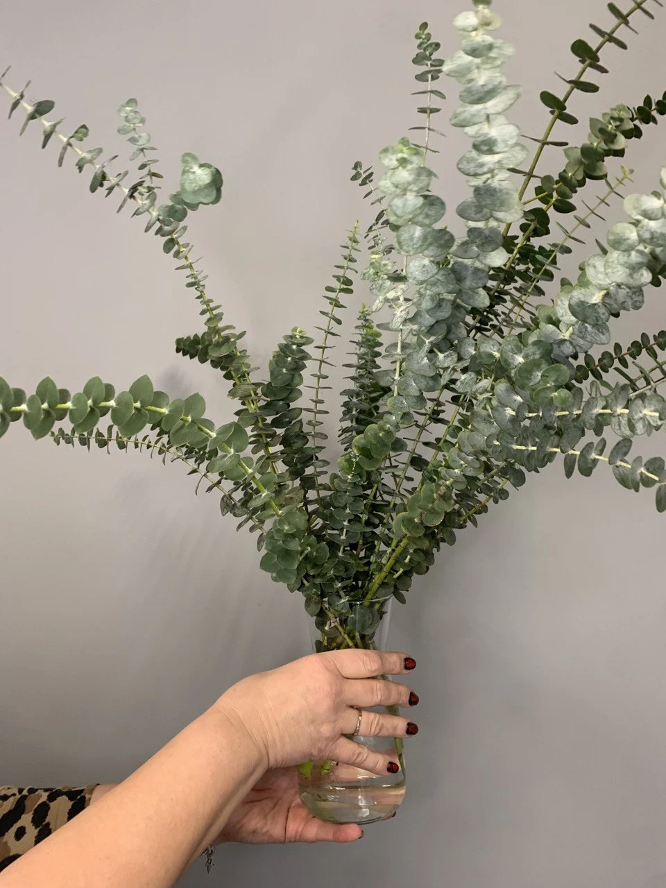 Bukiety, kwiaty doniczkowe, bukiet pogrzebowy, wiązanki, dekorację świąteczne niska cena Pruszków