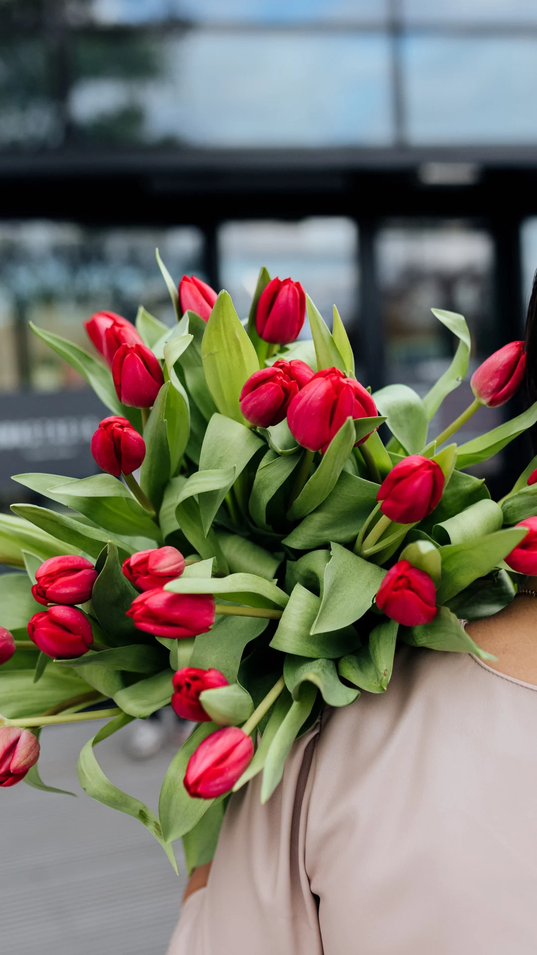 Bukiet czerwonych tulipanów z dostawą niska cena Brwinów