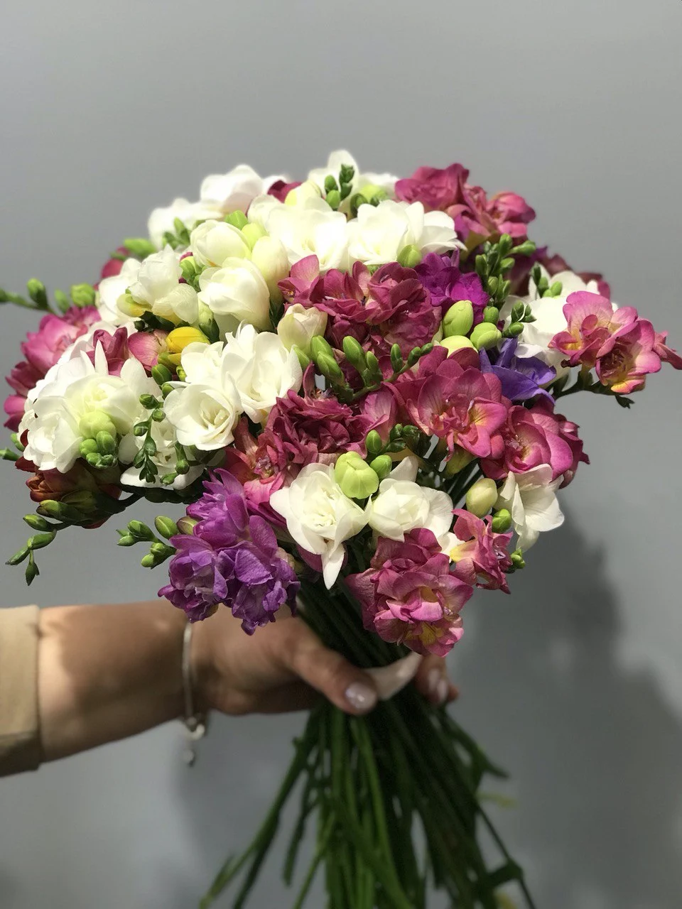 Bukiet frezji z dostawą niska cena Grodzisk Mazowiecki