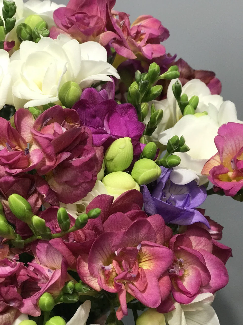 Bukiet frezji z dostawą niska cena Brwinów