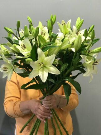 Bukiet białe lilii z dostawą niska cena