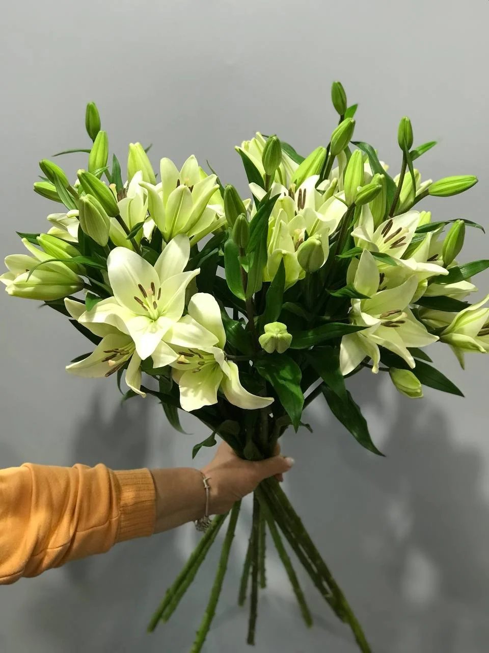Bukiet białe lilii z dostawą niska cena Grodzisk Mazowiecki