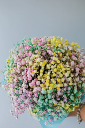 Bukiet kolorowej gipsówki poczta kwiatowa Grodzisk Mazowiecki