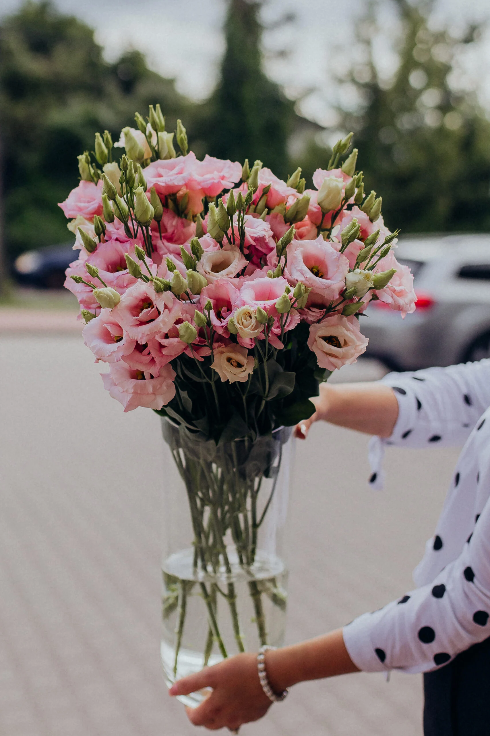 Eustoma cięta – Szybka dostawa kwiatów.