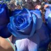niebieskie róże poczta i kwiatowa dostawa Błonie