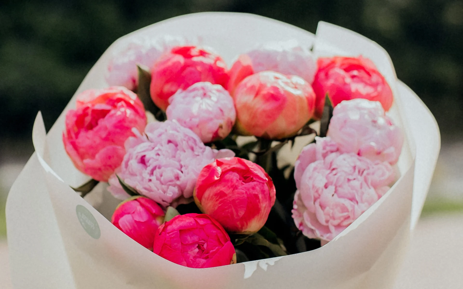 Peonia bukiet poczta kwiatowa tanio