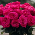 Różowe róże kwiatowa dostawa Warszawa