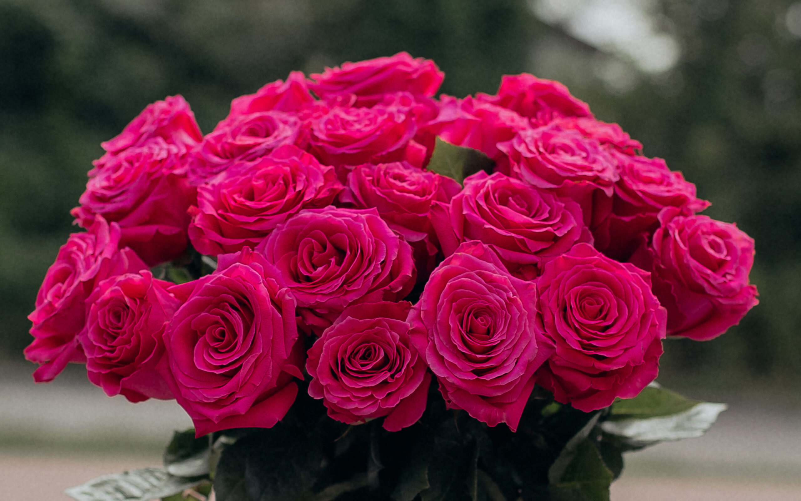 Różowe róże kwiatowa dostawa Warszawa