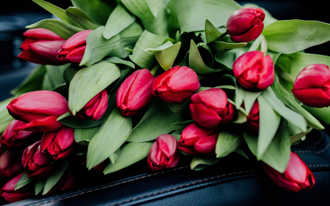 Bukiet czerwonych tulipanów z dostawą niska cena Otrębusy