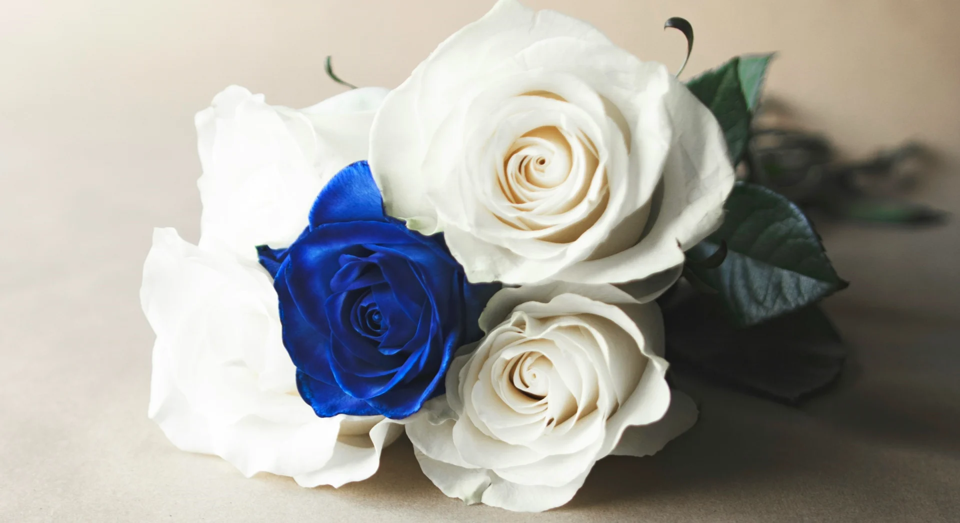 Minimalistyczny bukiet z niebieskimi i białymi różami