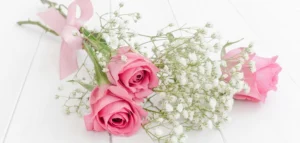 Bukiet z kolorowej gipsówki na każdą okazję Warszawa