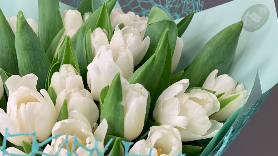 Bukiet białych tulipanów z dostawą niska cena Brwinów