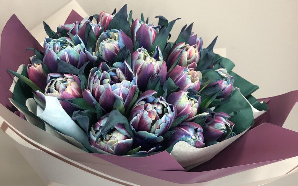 Bukiet dla żony ekskluzywne tulipany na Dzień kobiet z dostawą niska cena Grodzisk Mazowiecki