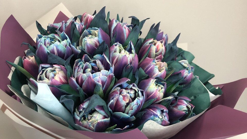 Bukiet dla żony ekskluzywne tulipany na Dzień kobiet z dostawą niska cena Grodzisk Mazowiecki