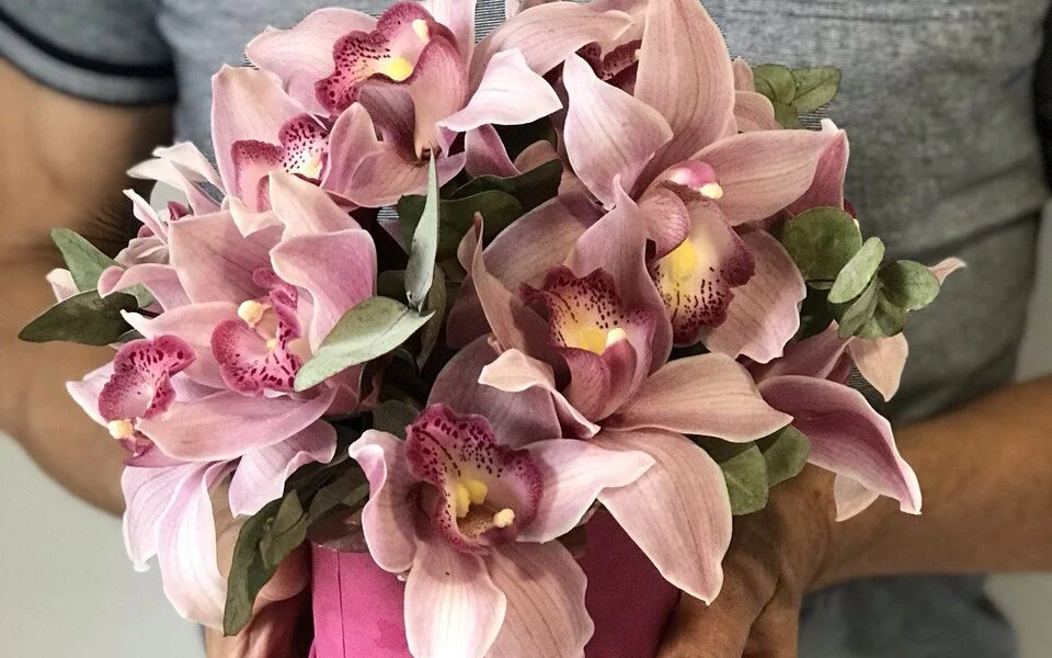 flower box ze storczyków