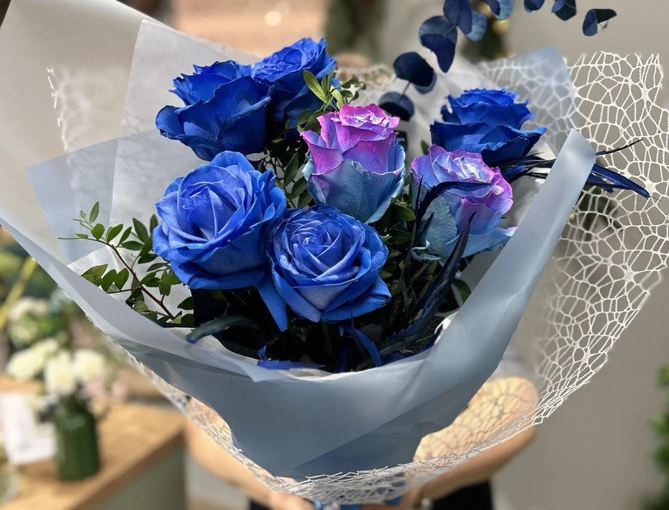 Niebieskie róże Pruszków