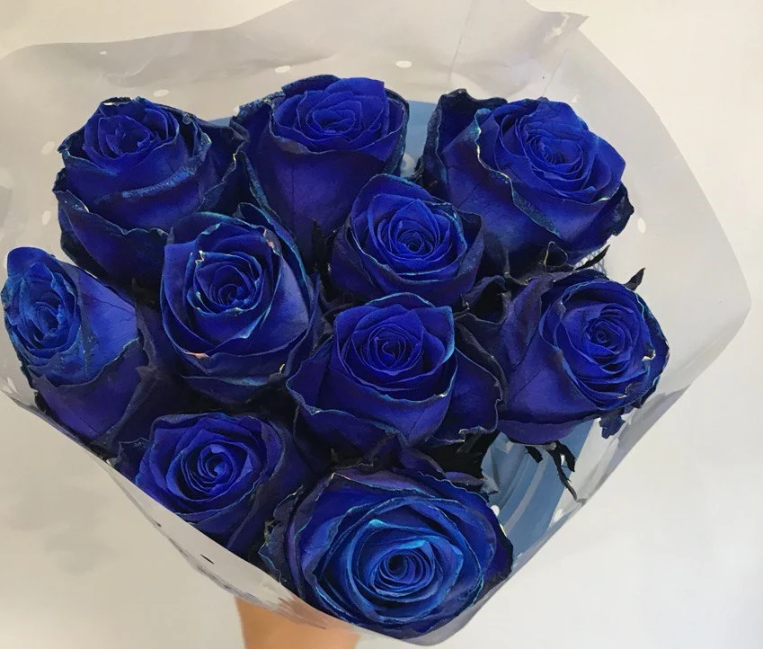 Bukiet z Niebieskimi Kwiatami Żyrardów