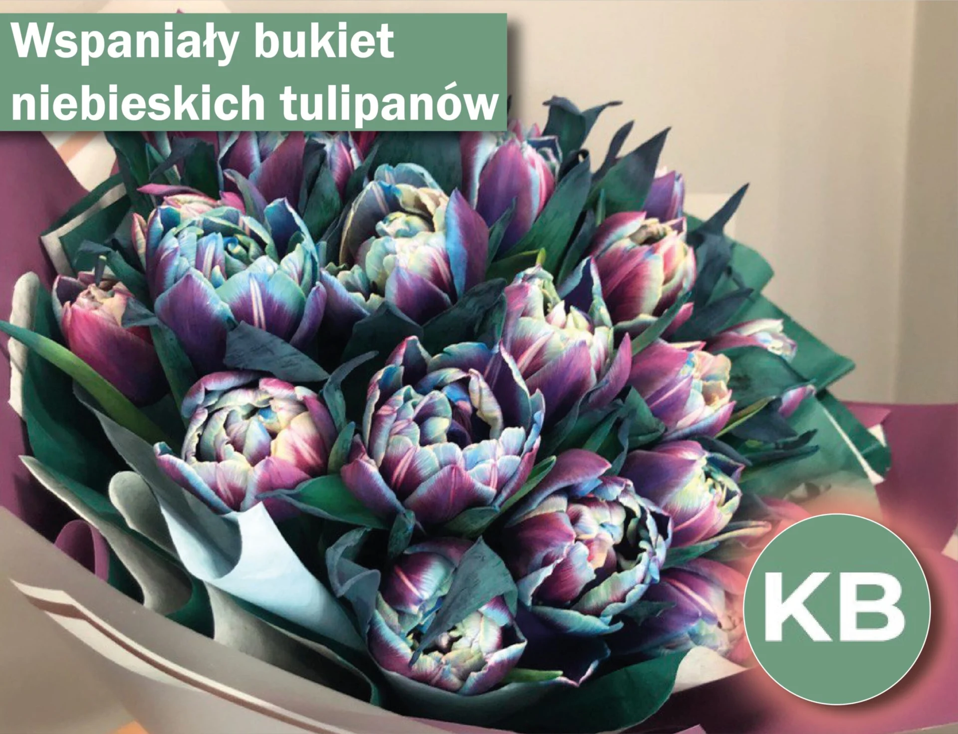 Duży bukiet niebieskich tulipanów