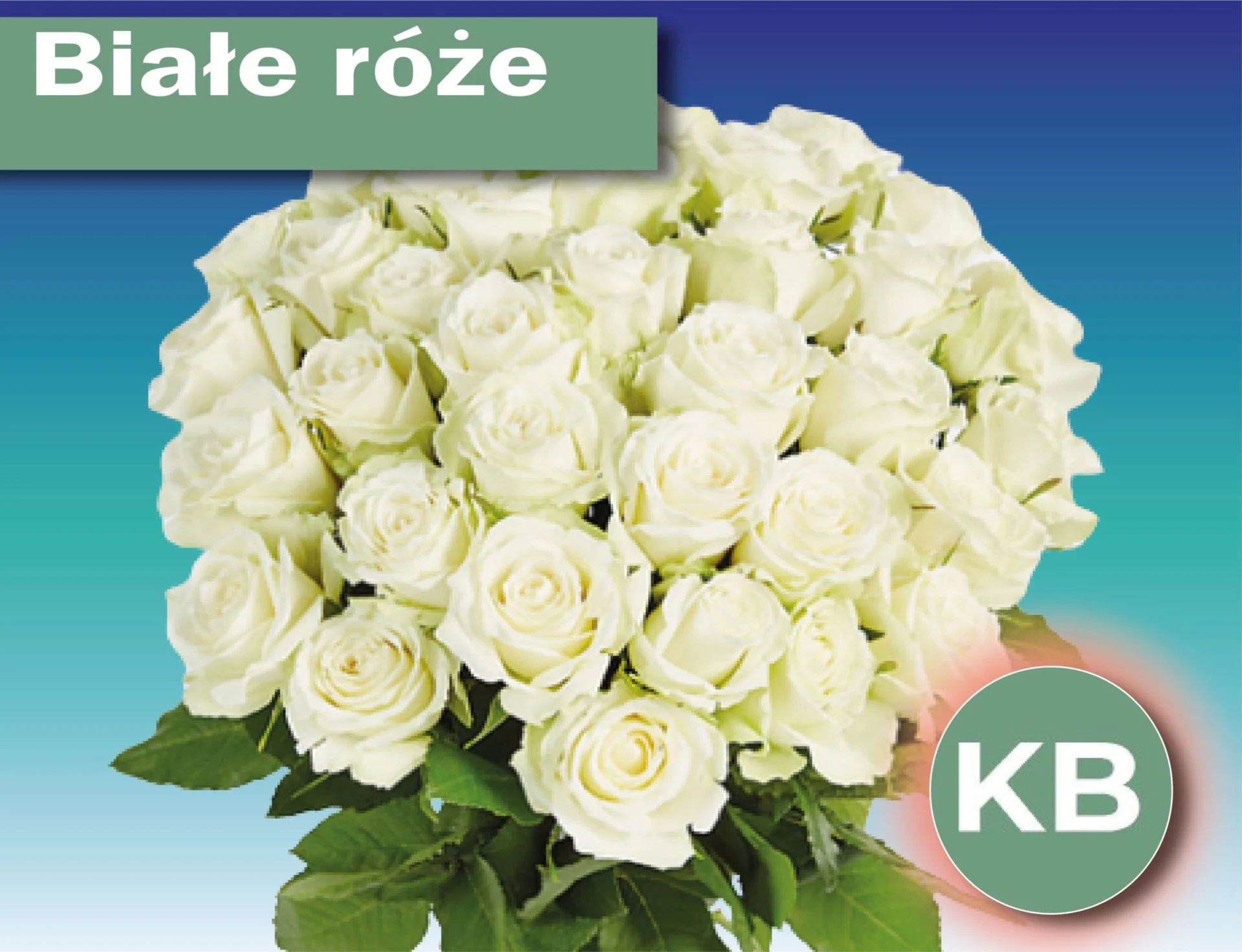 Monobukiet z białych róż