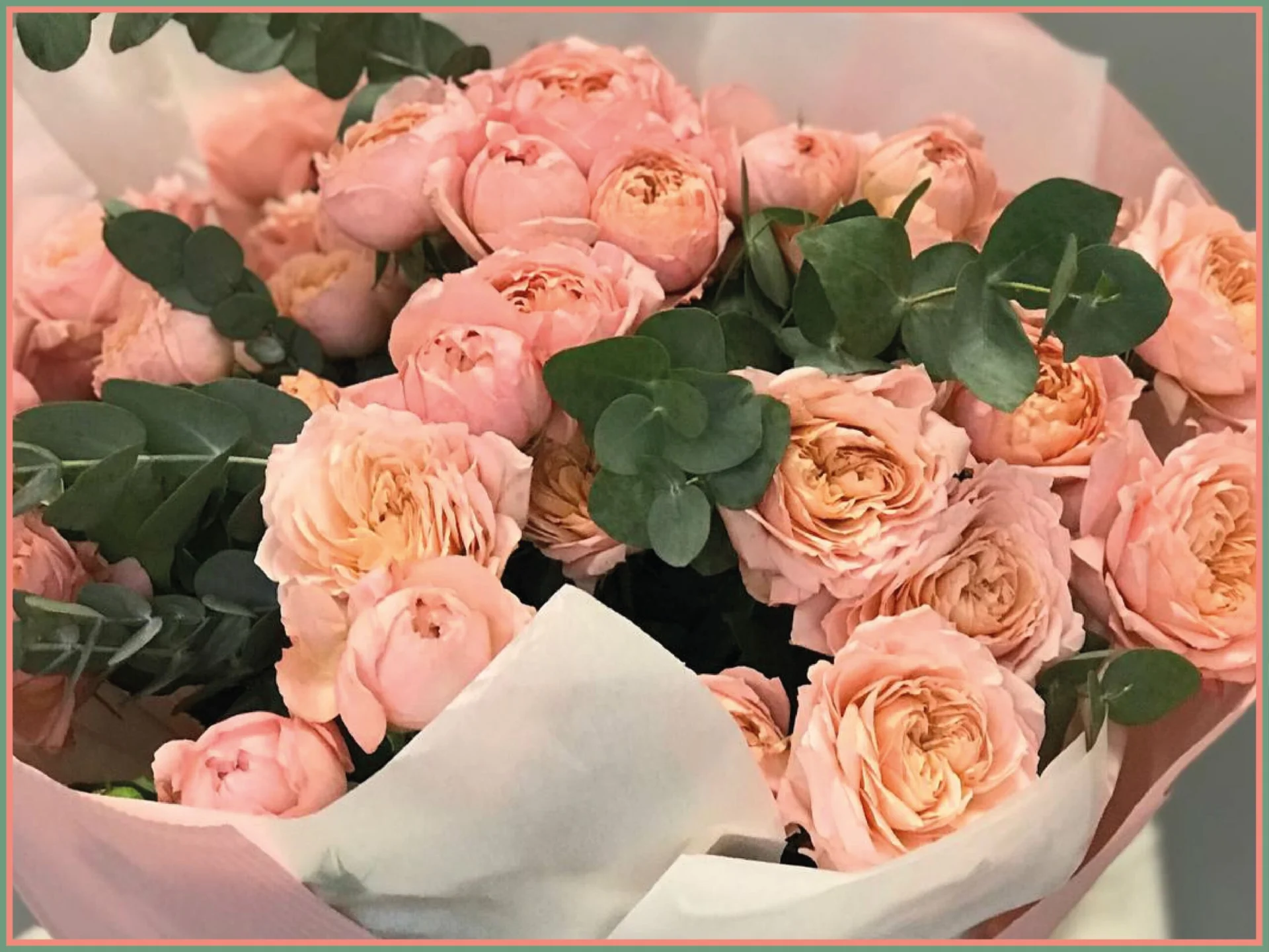 Bukiet różowych róż Juliet