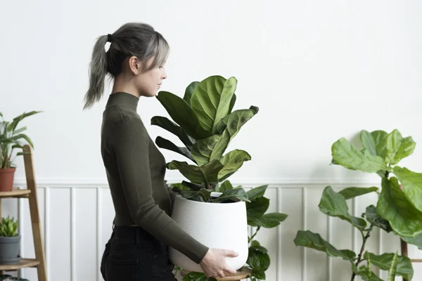 Jakie rośliny najlepiej sprawdzą się jako prezent?