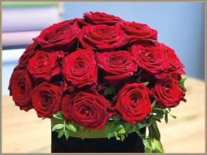 Wspaniałe pudełko z czerwonymi różami