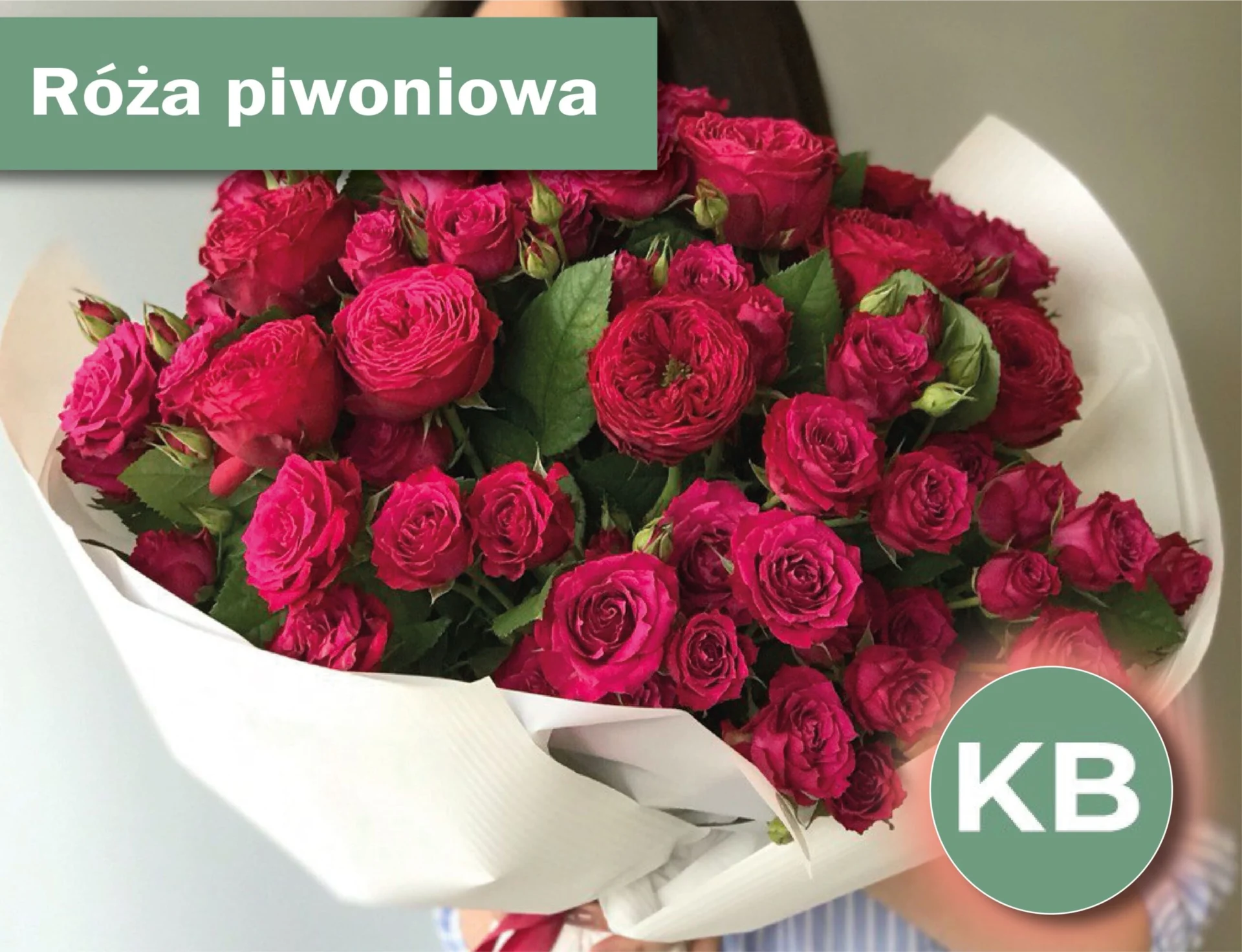 Róże – najlepszy wybór, aby zrobić wrażenie.