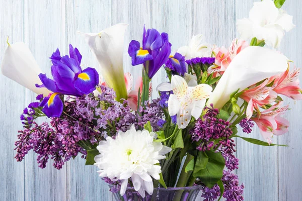 Sezonowe kwiaty — co kupować?