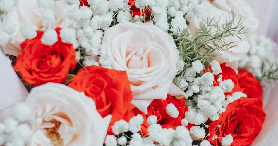 Róże w różnych kolorach