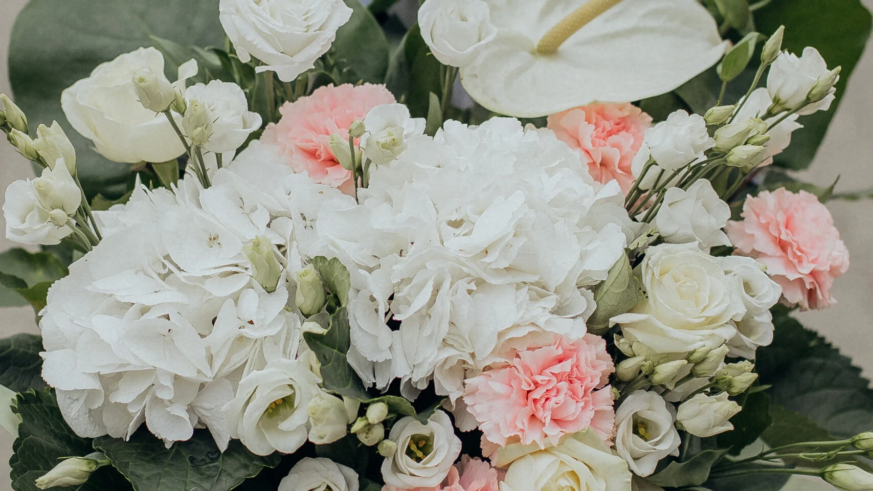 Flower box z kwiató żywych