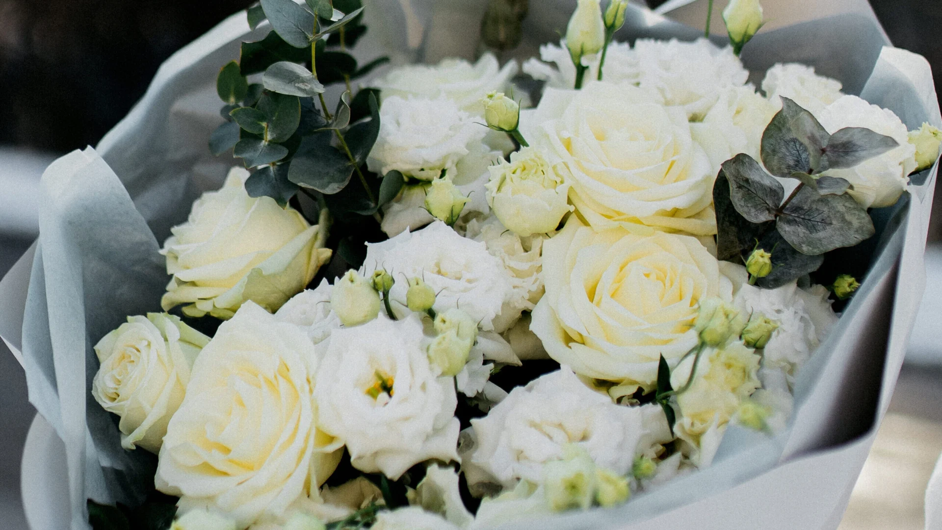 eustoma biała z białą różą