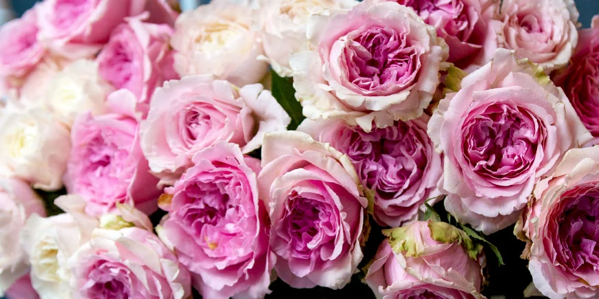 Delikatne róże do dekoracji uroczystości.