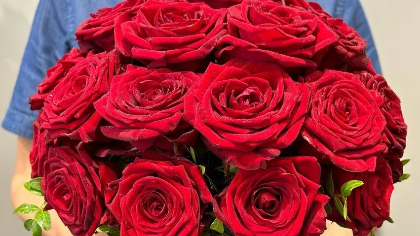 Flower box czerwone roze