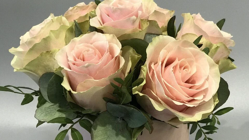 róże w pastelowych kolorach
