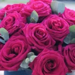 Intensywna różowa róża w eleganckim pudełku