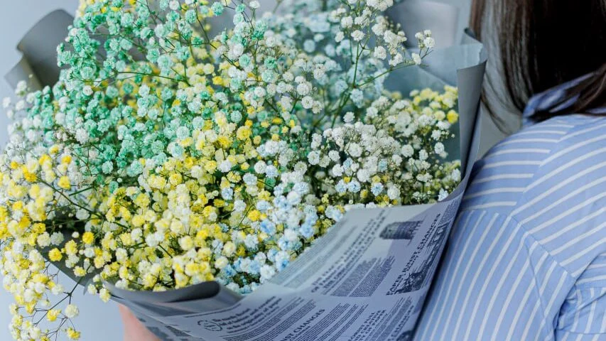 Bukiet kolorowej gipsówki