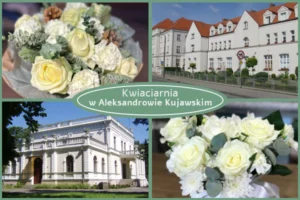 Kwiaty z dostawą Aleksandrów Kujawski