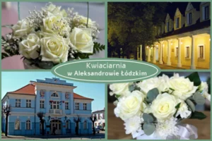 Kwiaty z dostawą Aleksandrów Łódzki