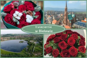 Kwiaty z dostawą Bielawa