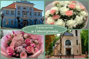 Kwiaty z dostawą Celestynów