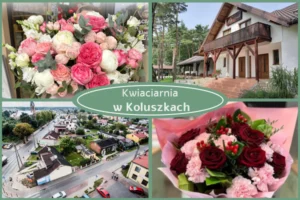 Kwiaty z dostawą Koluszki