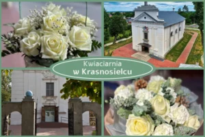 Kwiaty z dostawą Krasnosielc