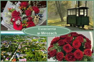 Kwiaty z dostawą Mrozy