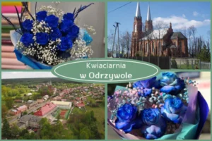 Kwiaty z dostawą Odrzywół